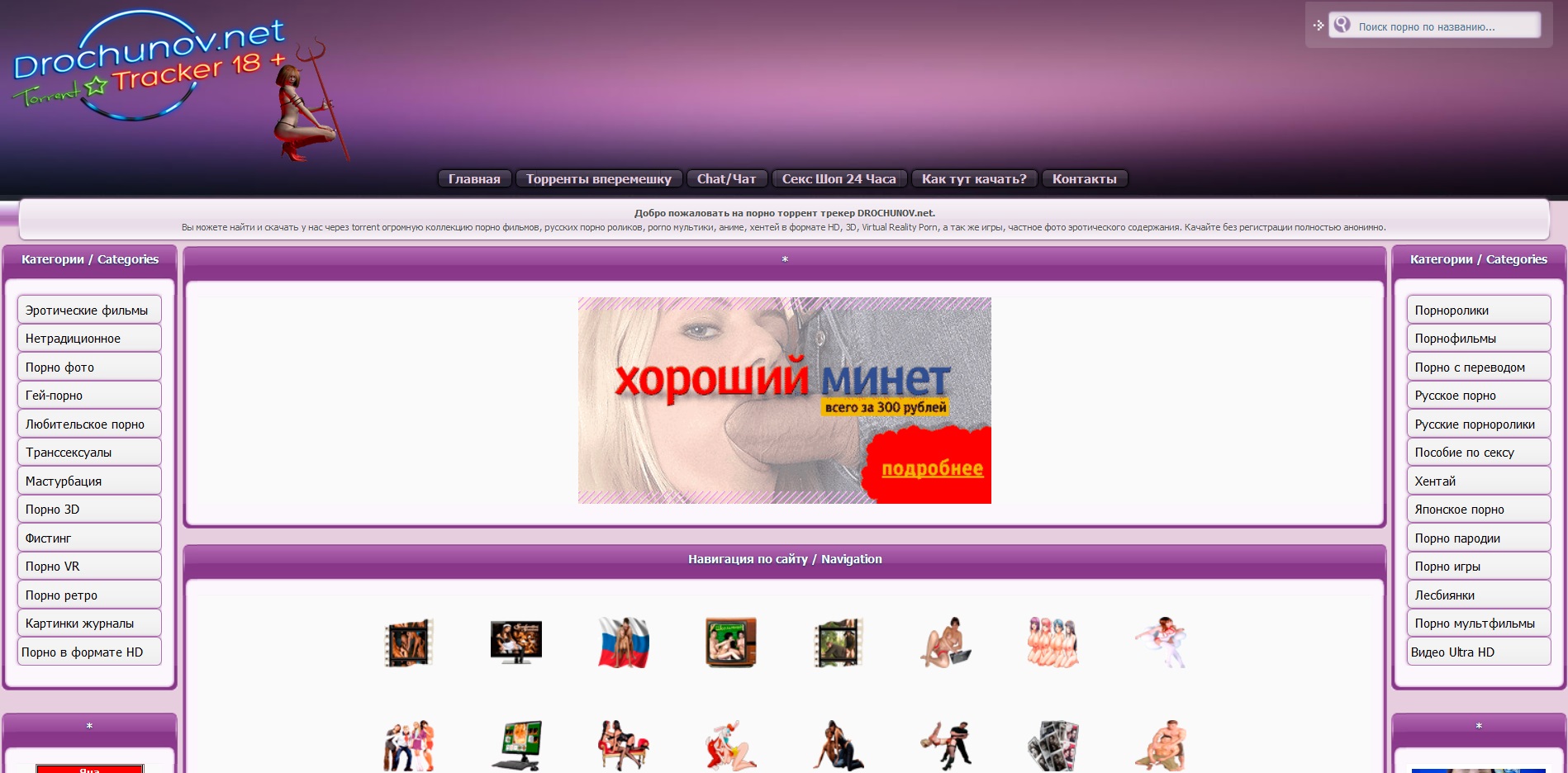 drochunov.net
